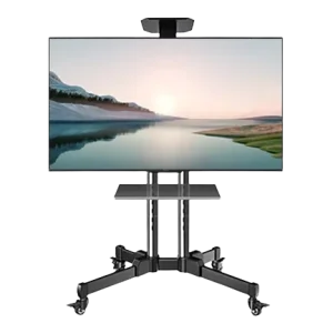 Vewell Economic Mobile TV Stand